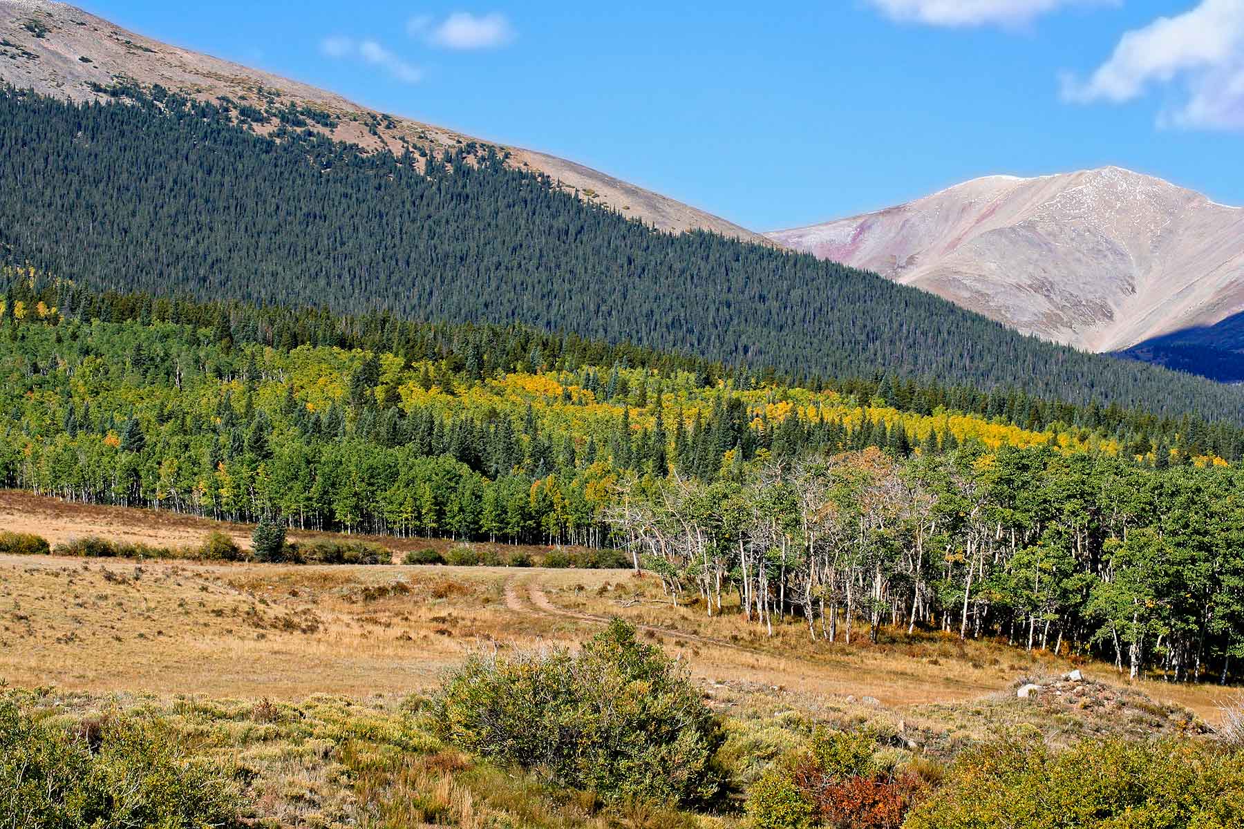 Tarryall Meadows Ranch Sold Colorado Hall and Hall