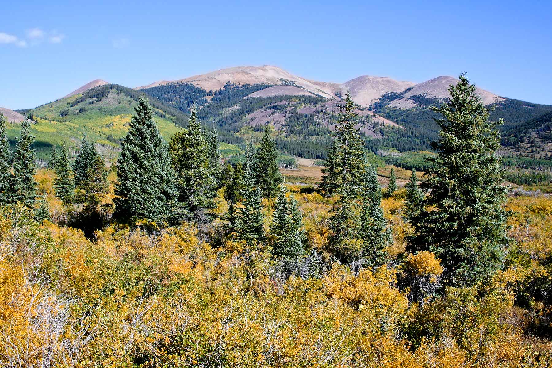 Tarryall Meadows Ranch Sold Colorado Hall and Hall