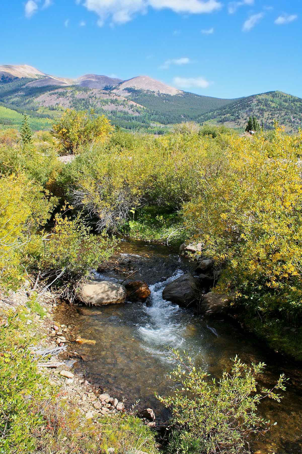 Tarryall Meadows Ranch Sold Colorado Hall and Hall