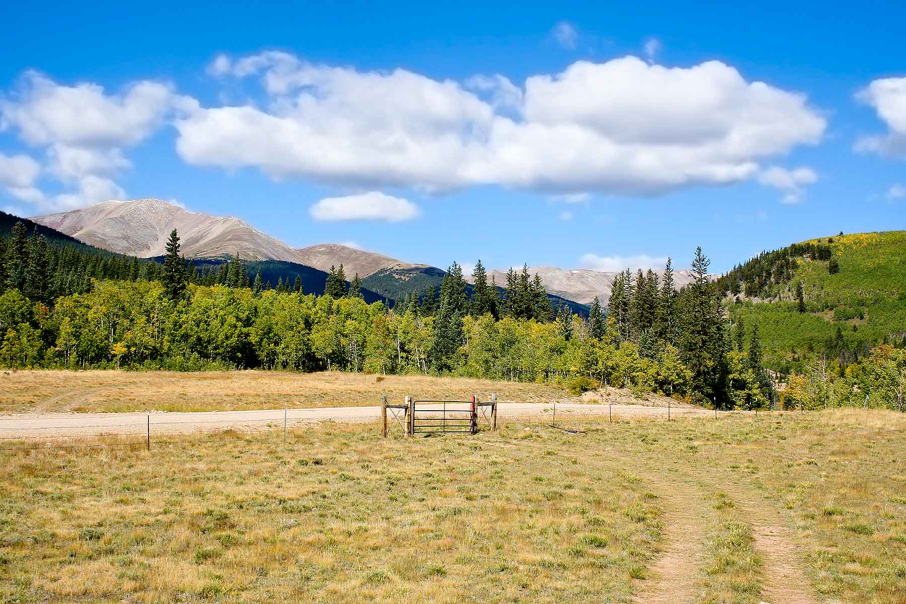 Tarryall Meadows Ranch Sold Colorado Hall and Hall