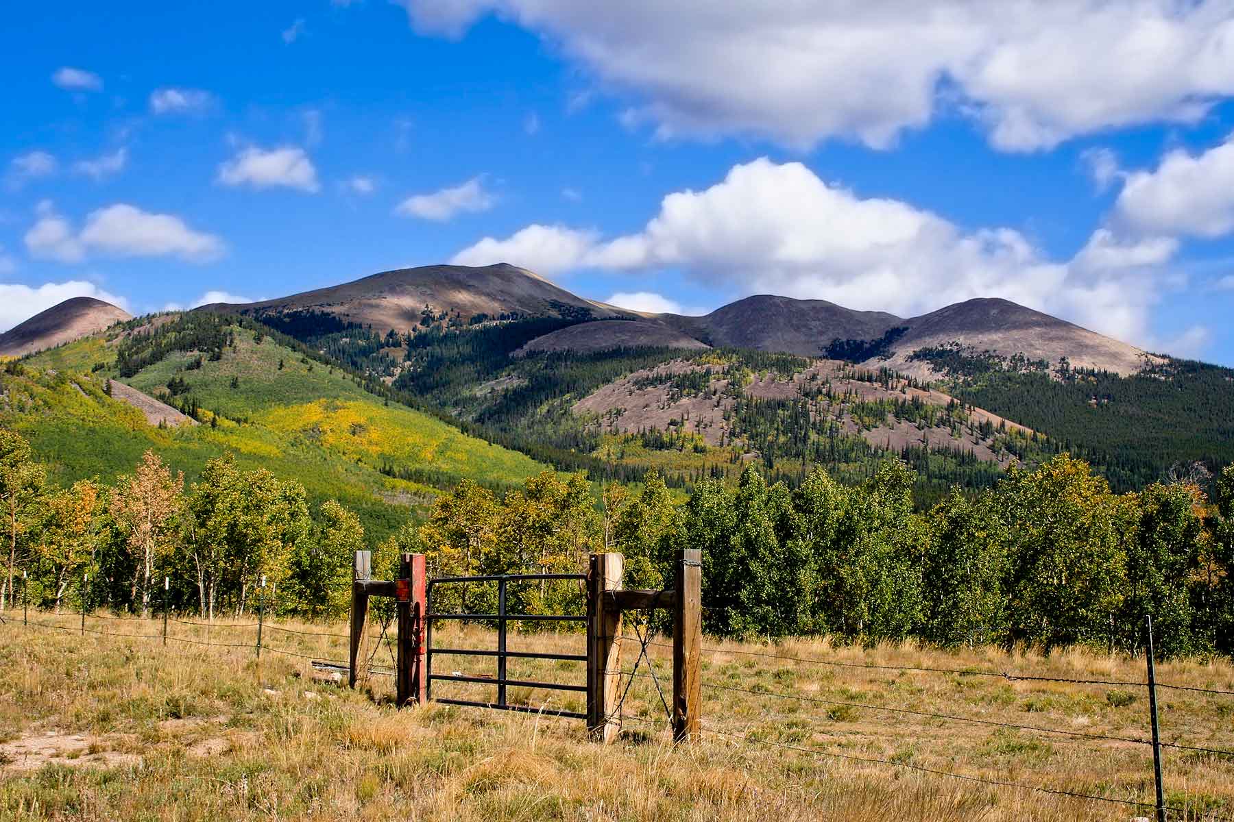 Tarryall Meadows Ranch Sold Colorado Hall and Hall