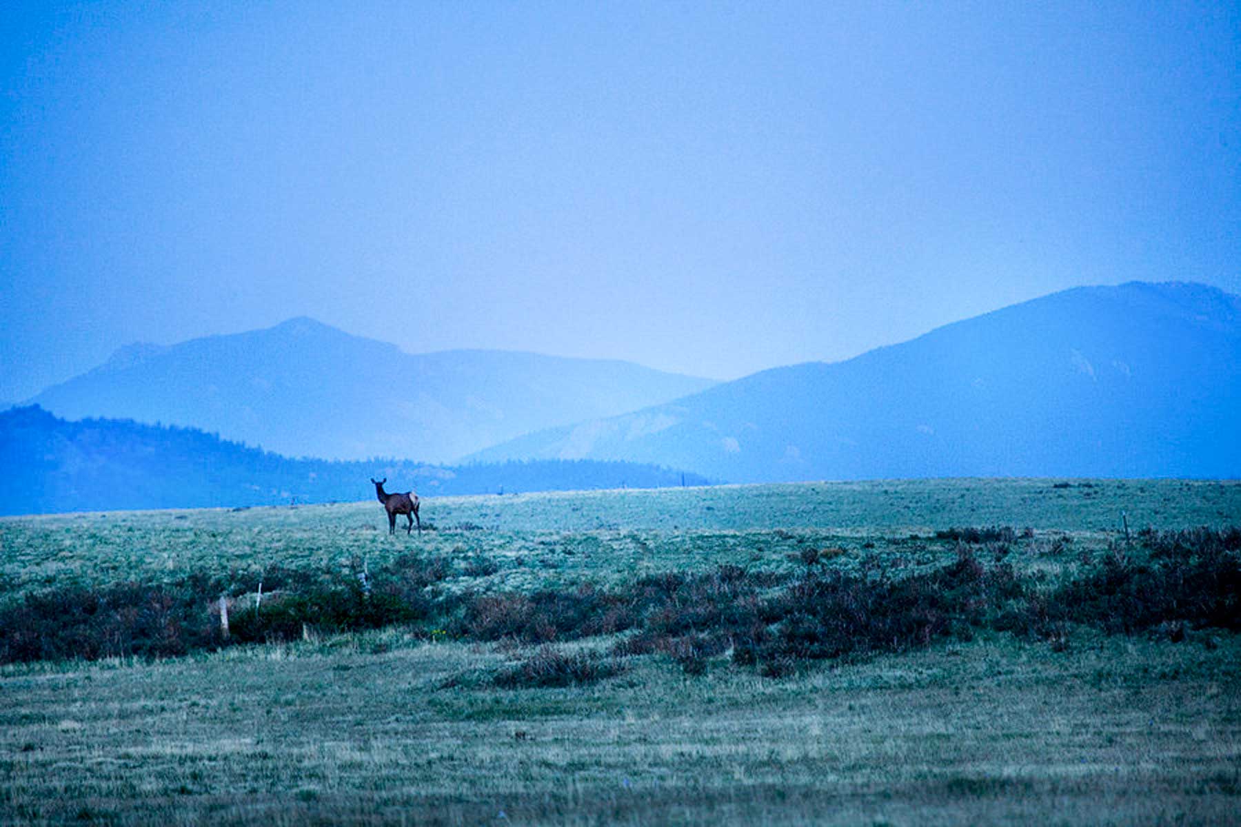 Tarryall Meadows Ranch property picture 27 of 57