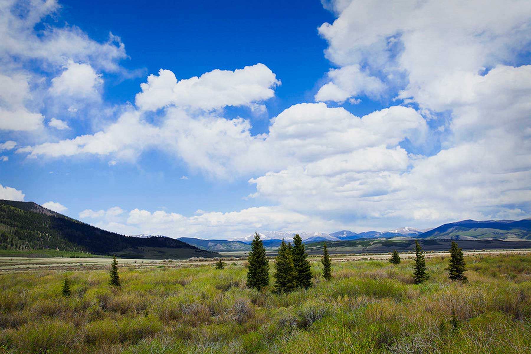 Tarryall Meadows Ranch Sold Colorado Hall and Hall