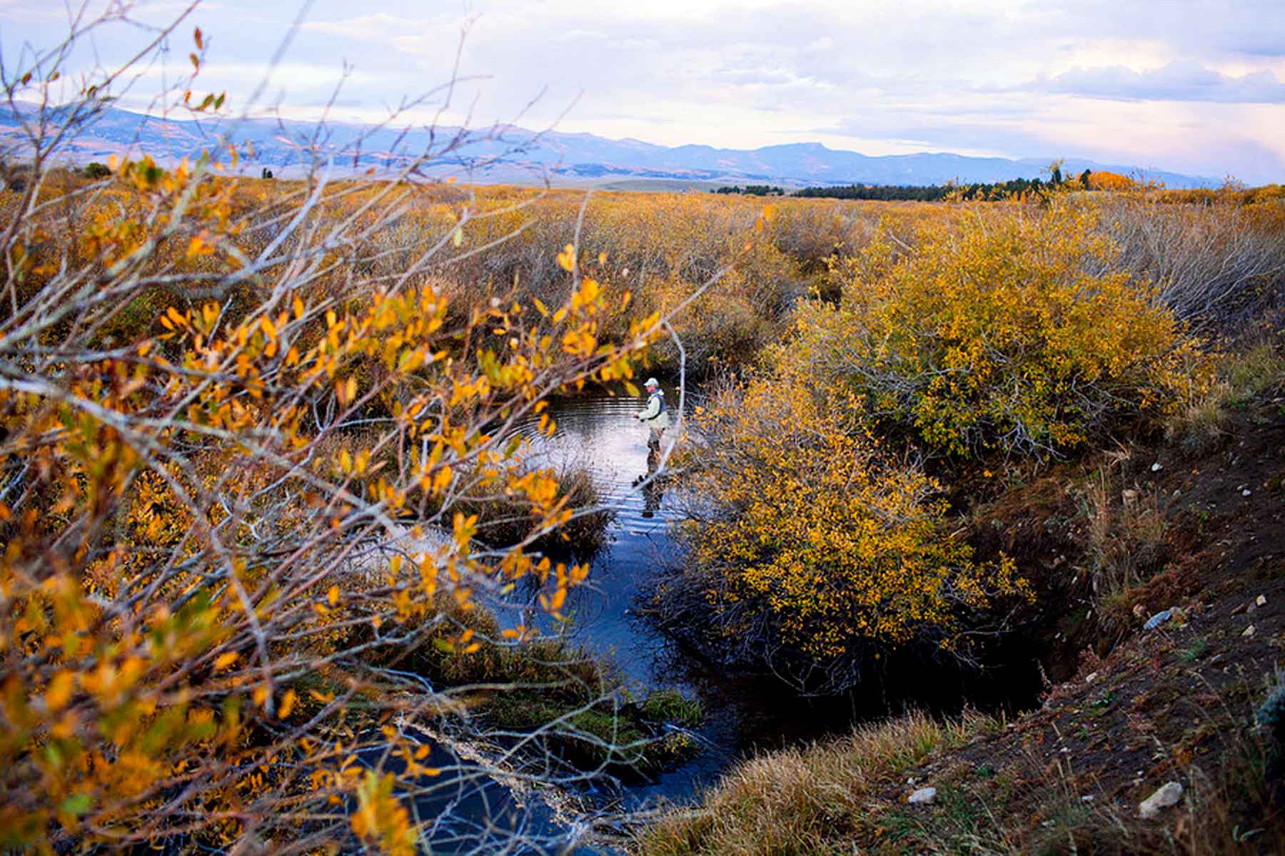 Tarryall Meadows Ranch Sold Colorado Hall and Hall