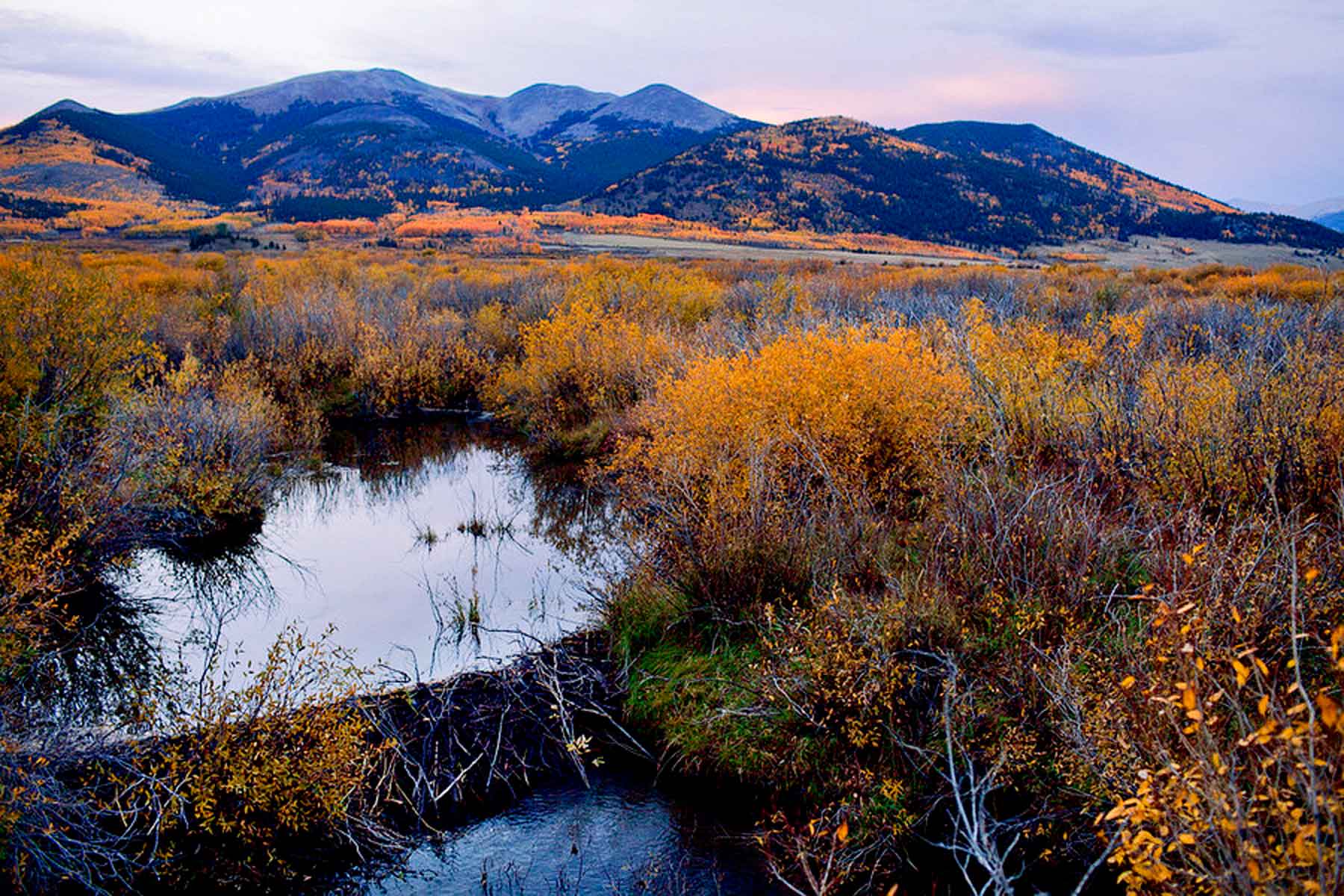 Tarryall Meadows Ranch Sold Colorado Hall and Hall