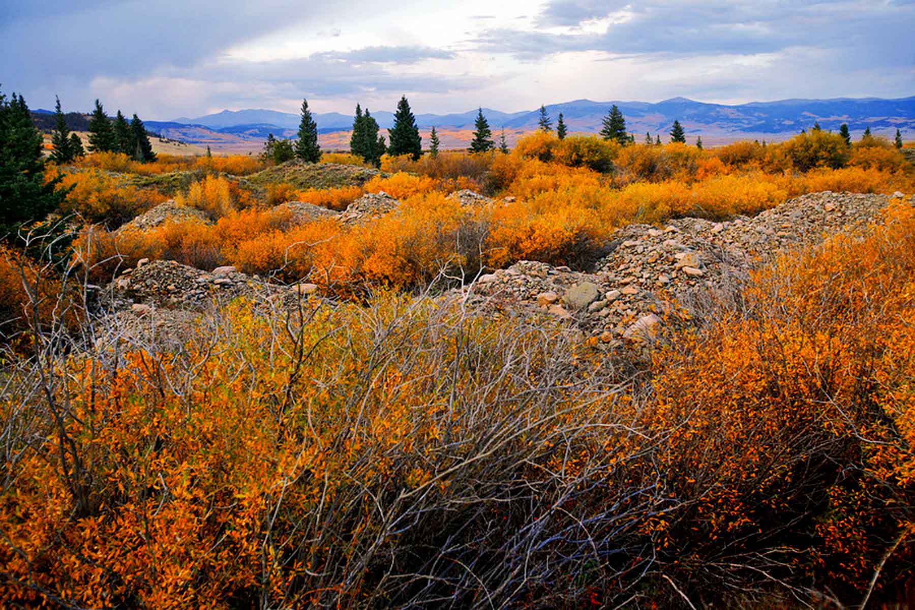 Tarryall Meadows Ranch Sold Colorado Hall and Hall