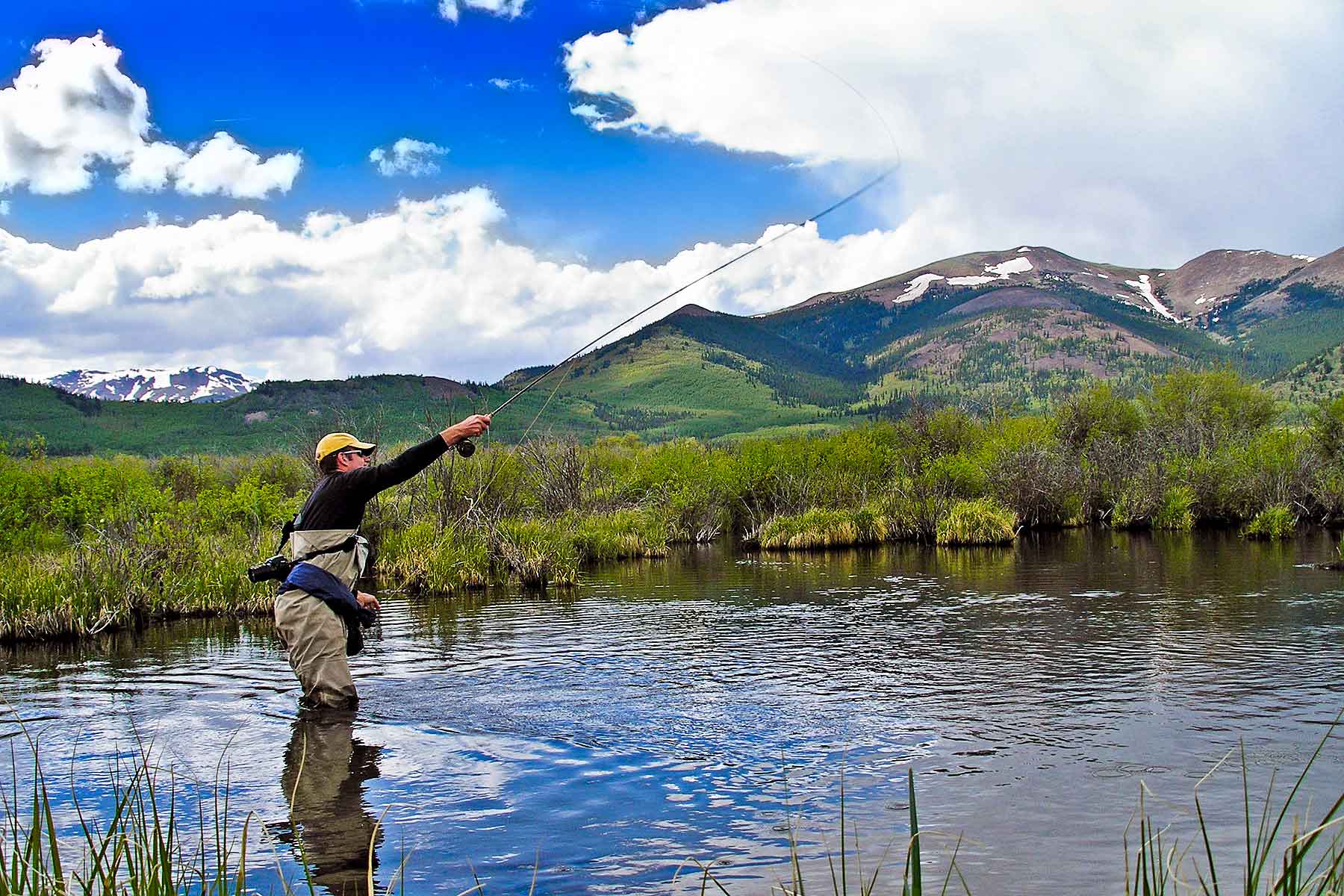 Tarryall Meadows Ranch property picture 17 of 57