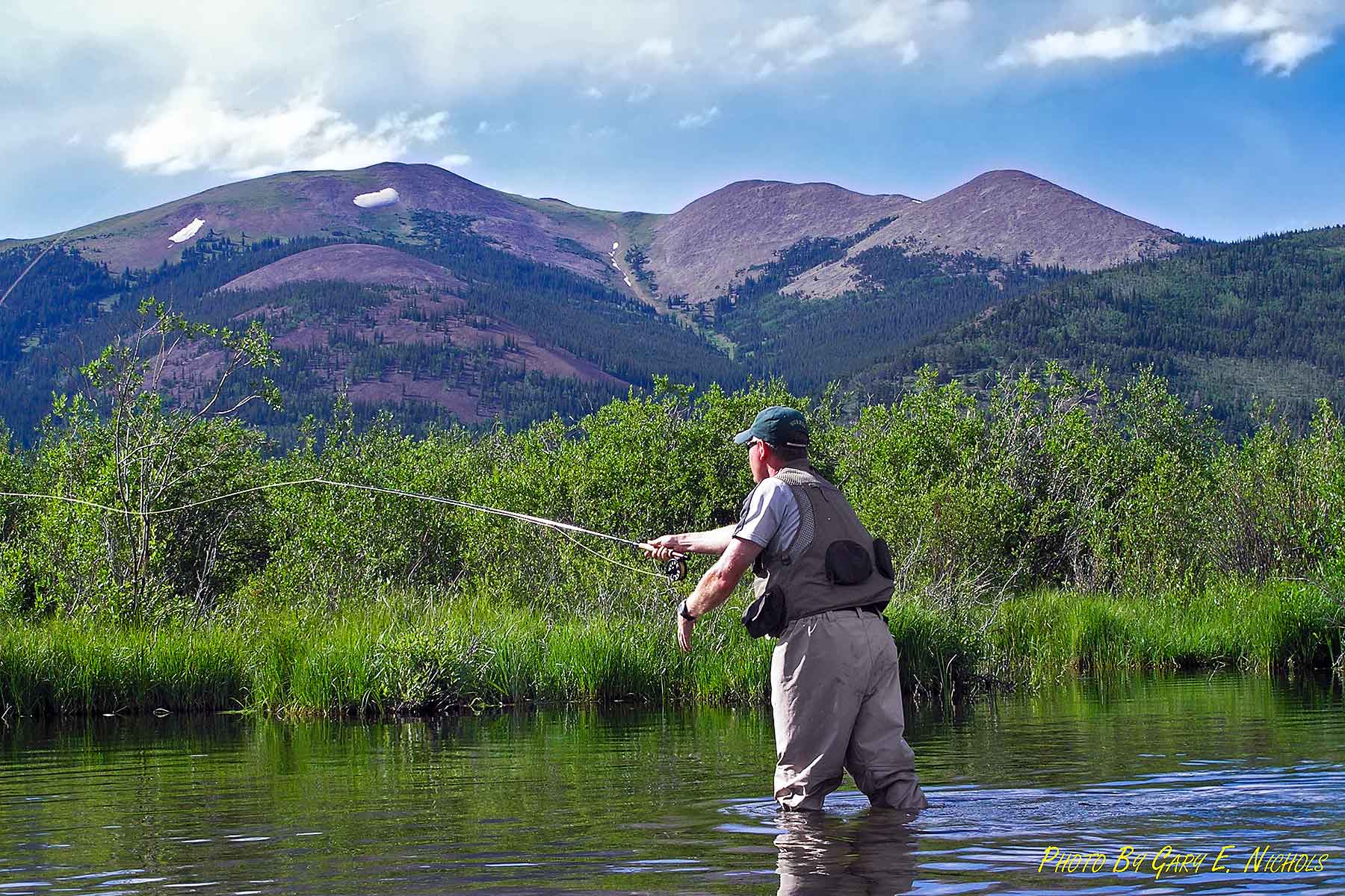 Tarryall Meadows Ranch property picture 13 of 57
