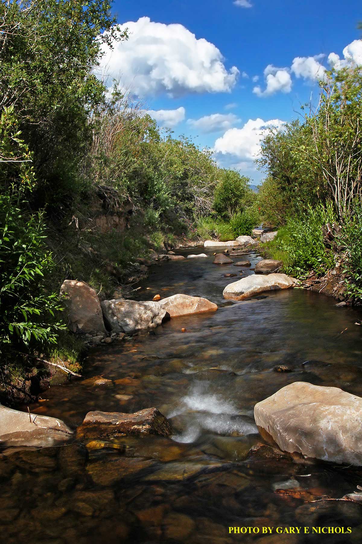 Tarryall Meadows Ranch Sold Colorado Hall and Hall