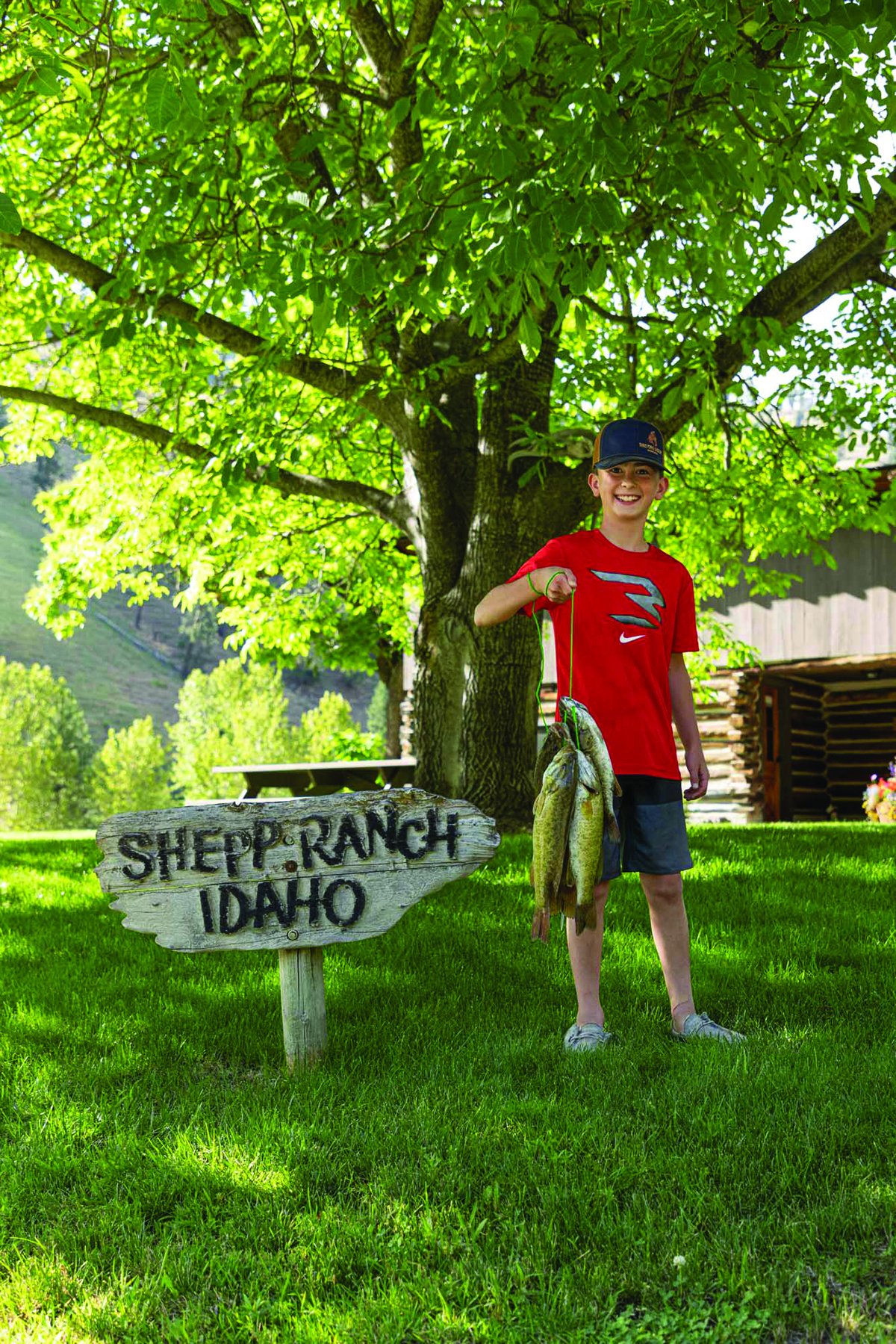 Shepp Ranch property picture 42 of 71