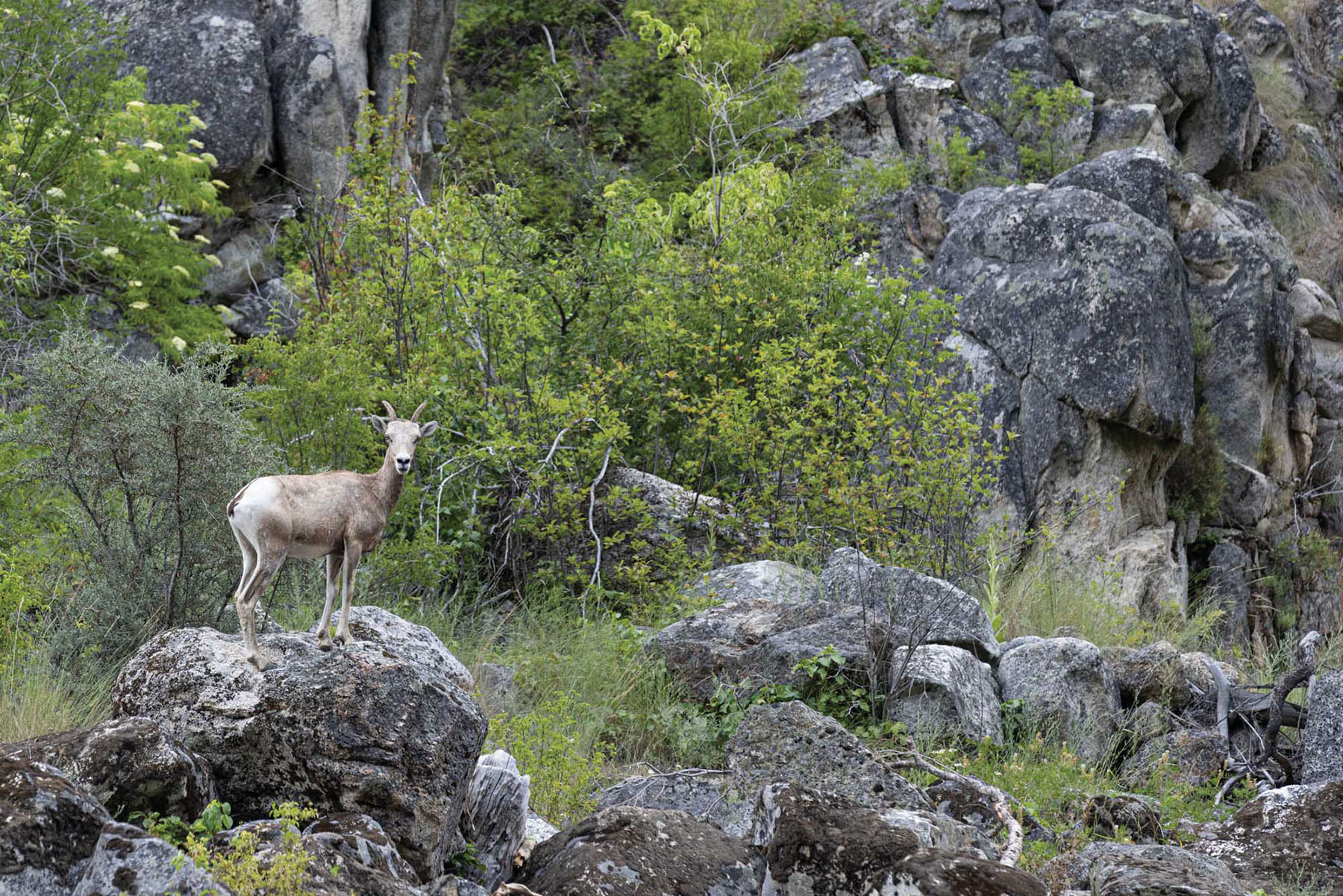 Shepp Ranch property picture 53 of 71