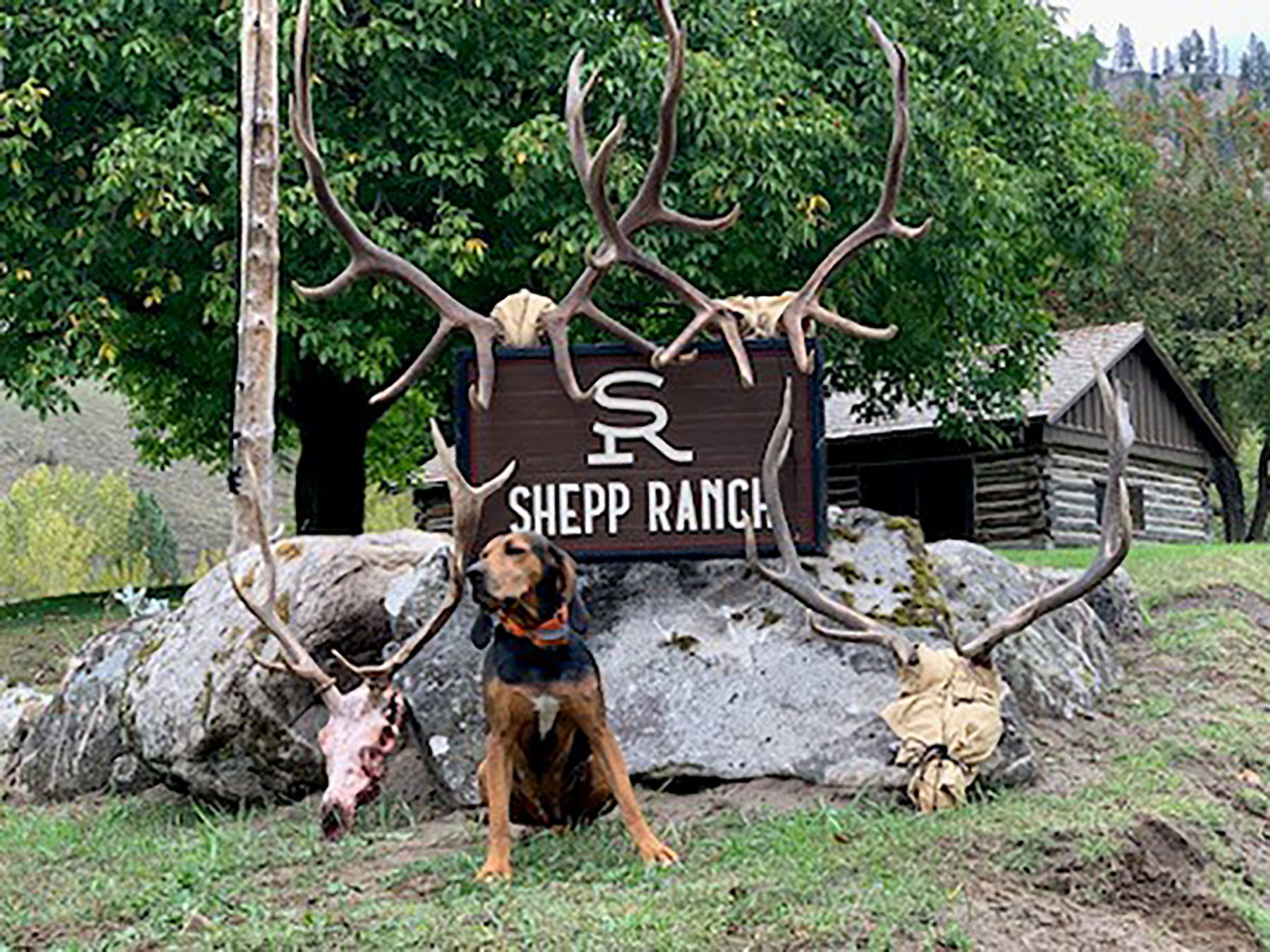 Shepp Ranch property picture 50 of 71