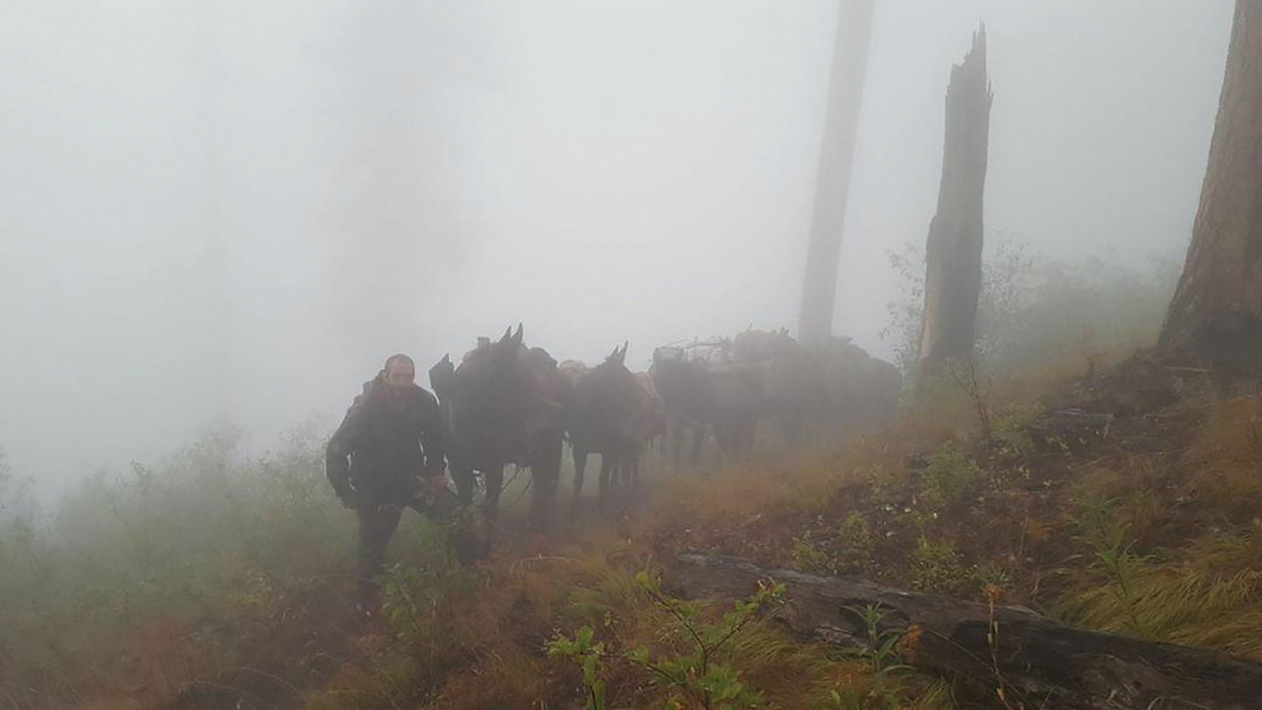Shepp Ranch property picture 52 of 71