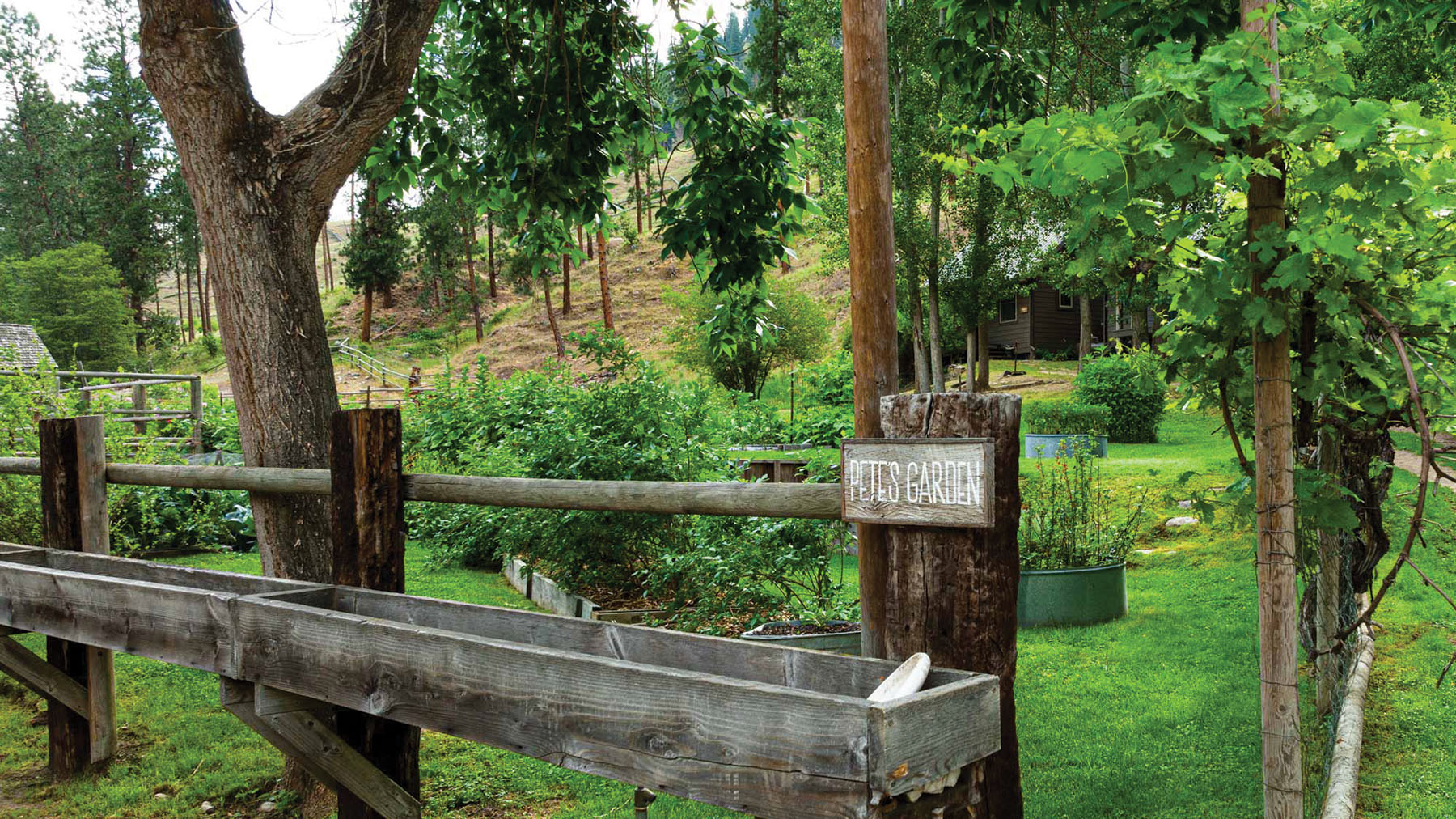 Shepp Ranch property picture 69 of 71