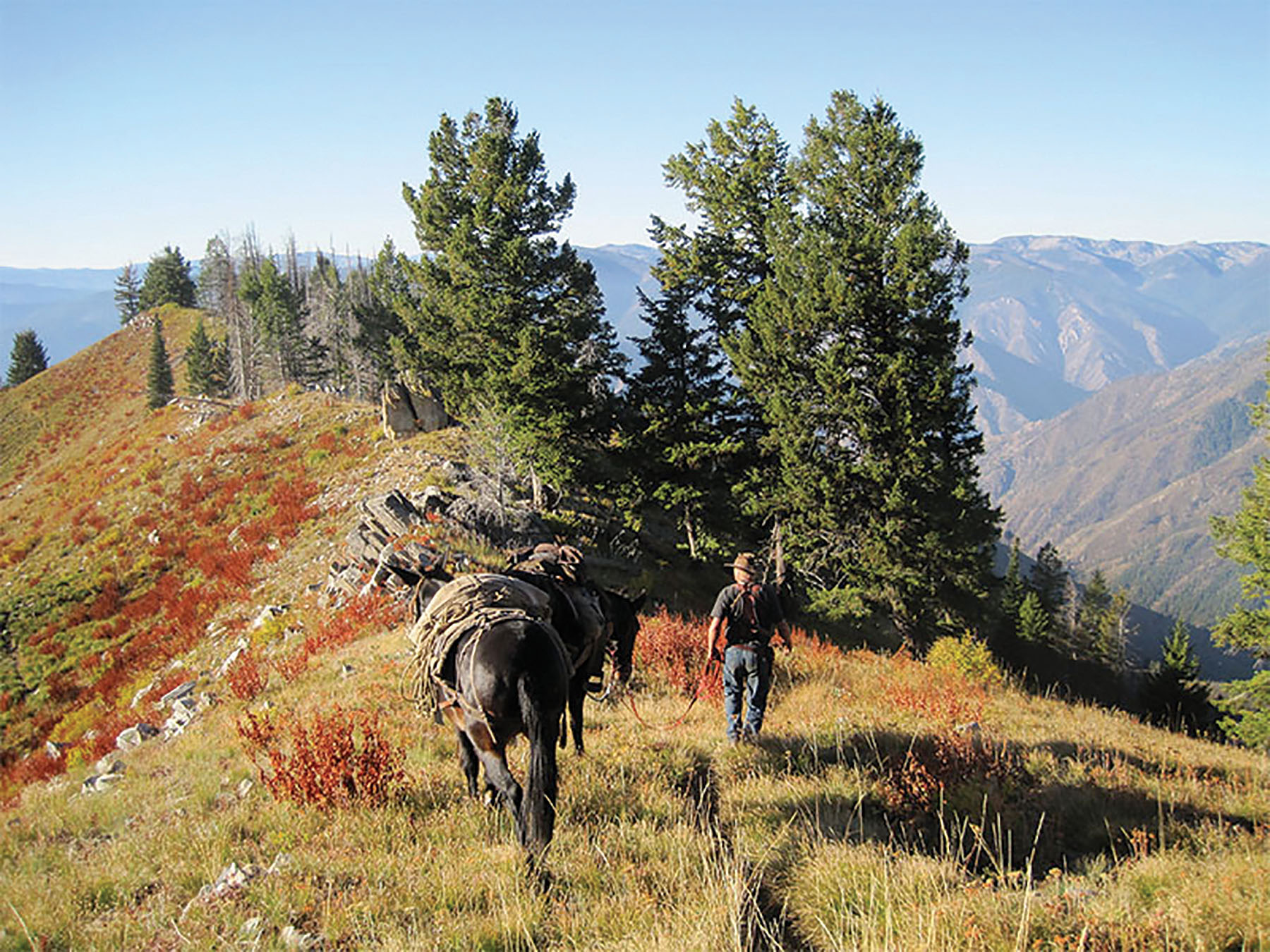 Shepp Ranch property picture 51 of 71