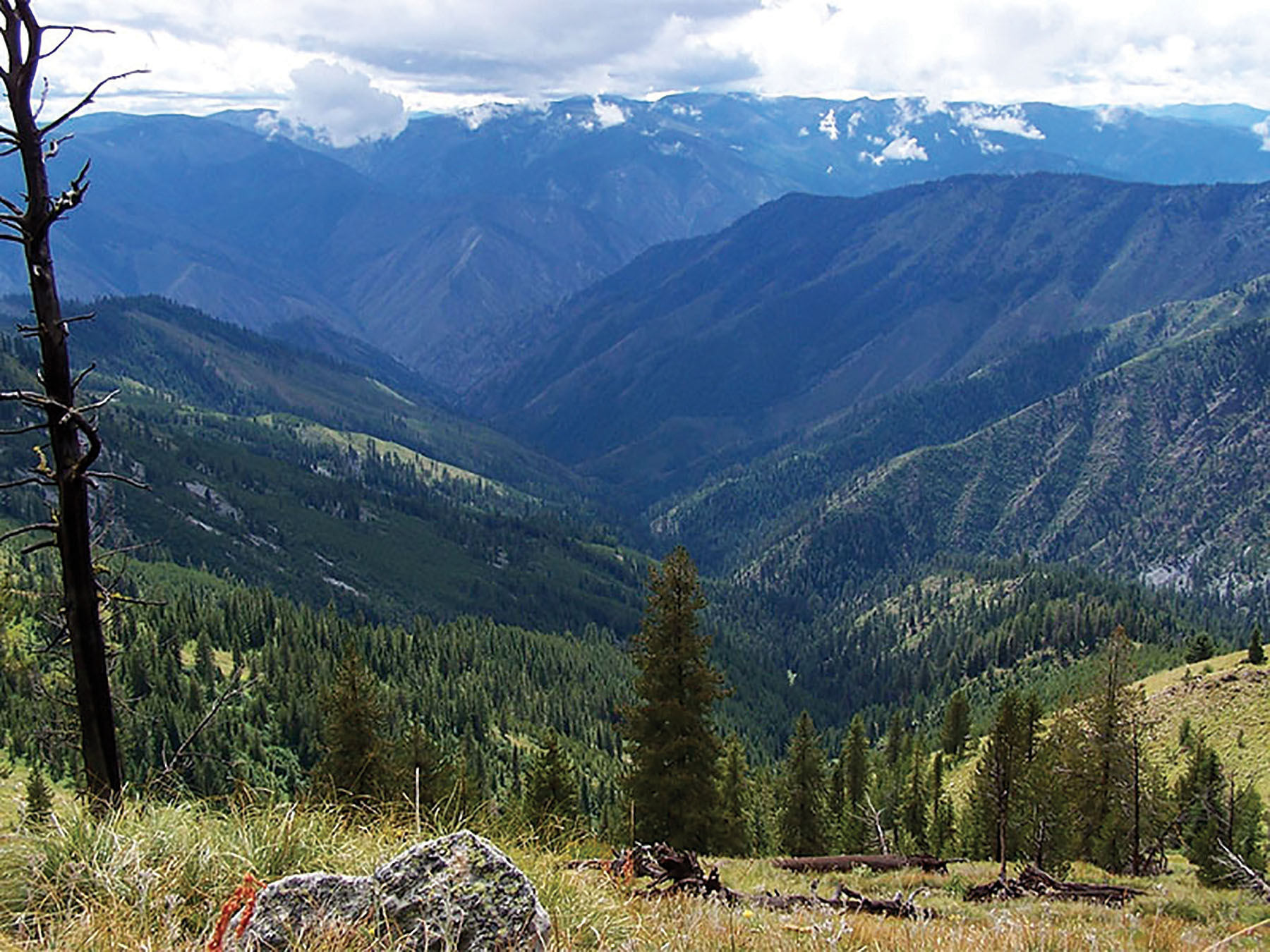 Shepp Ranch property picture 33 of 71