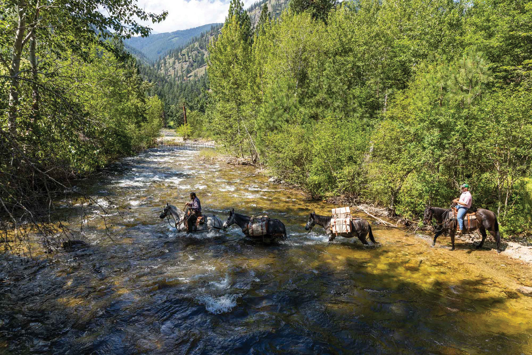 Shepp Ranch property picture 6 of 71