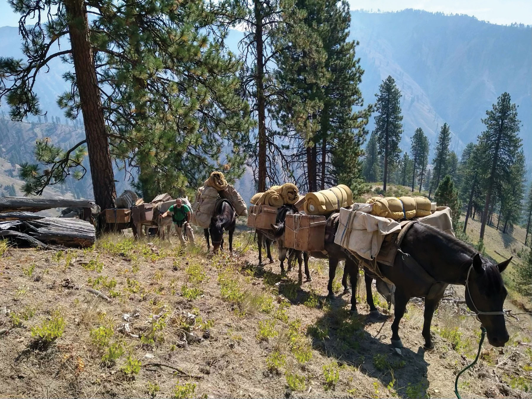 Shepp Ranch property picture 47 of 71