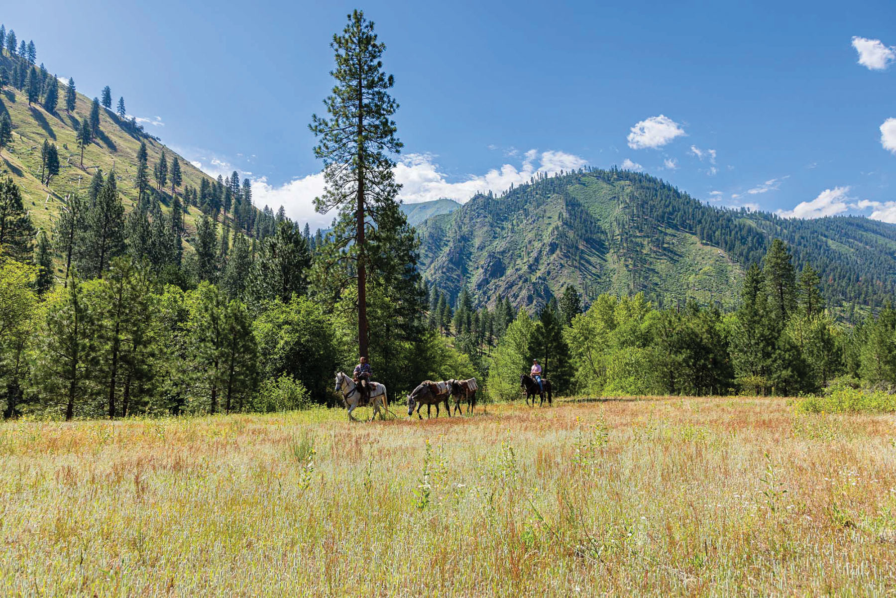 Shepp Ranch property picture 34 of 71