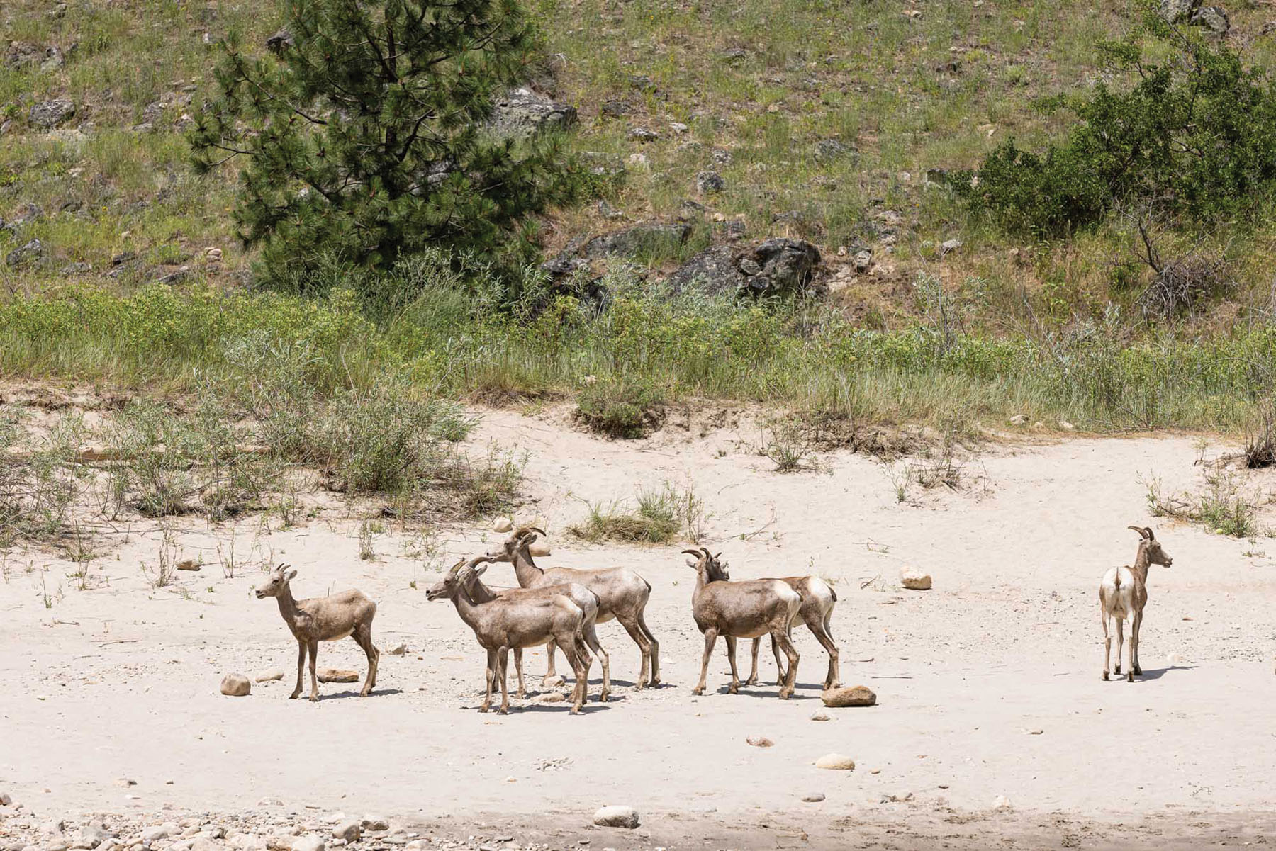 Shepp Ranch property picture 54 of 71