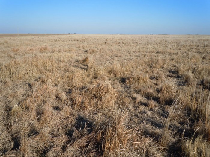 Scheuerman CRP property picture 2 of 3