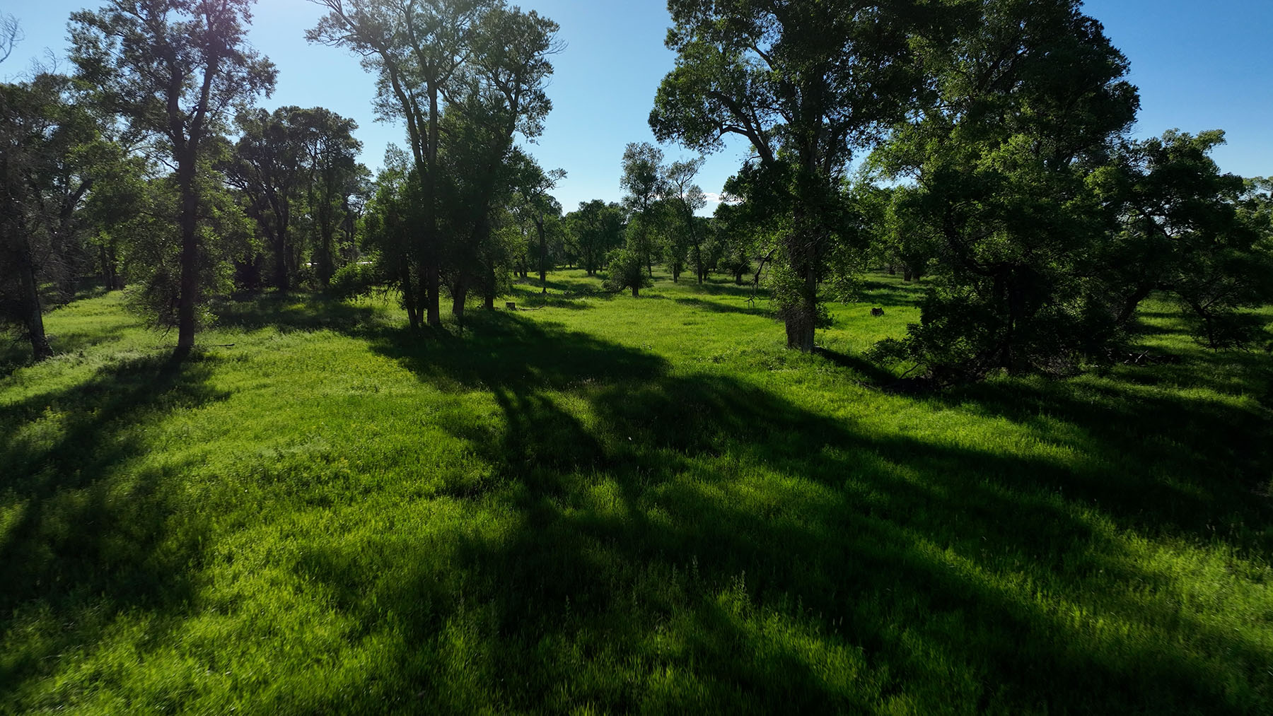 Little Hangmans Ranch property picture 50 of 69