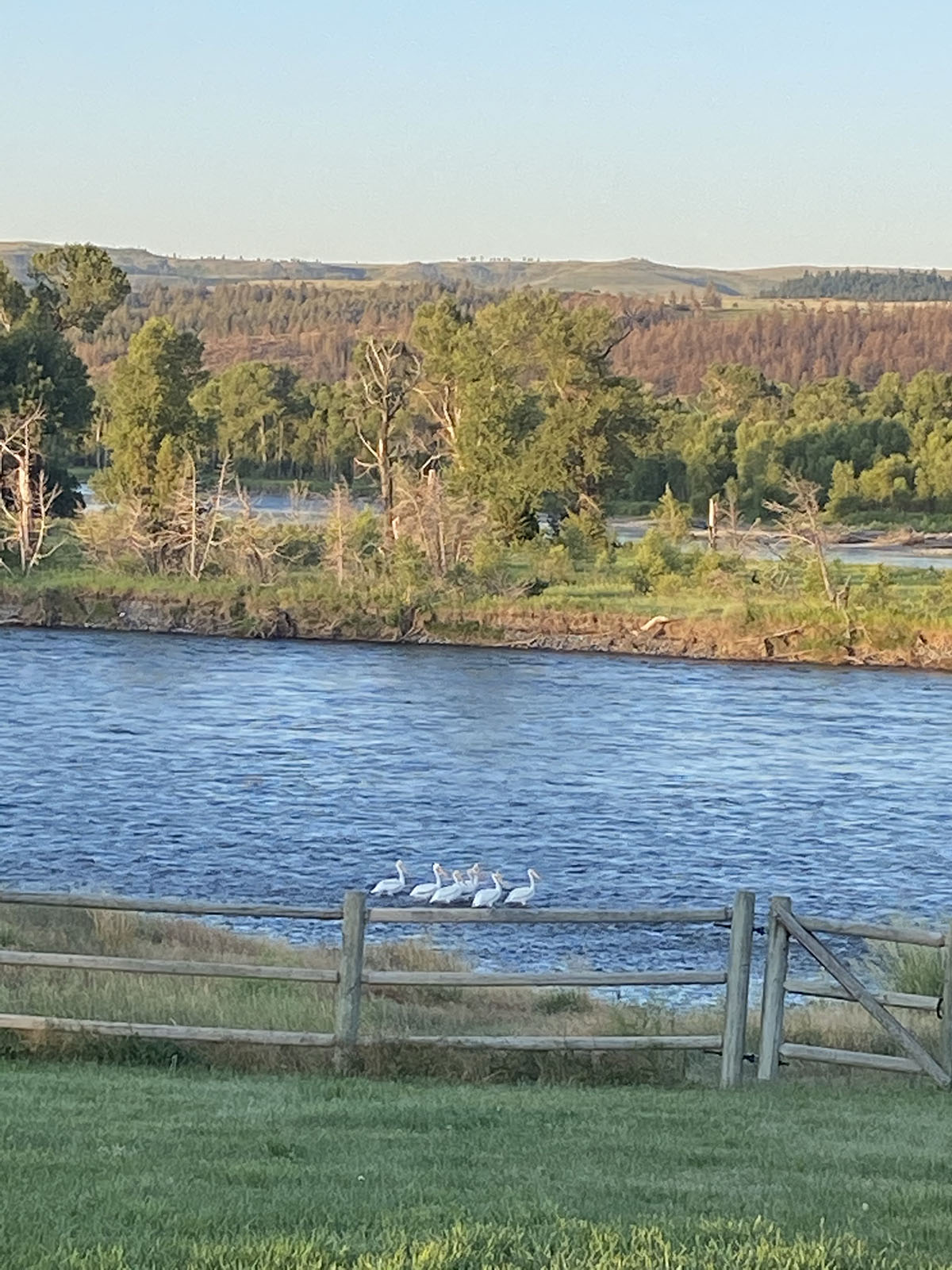 Little Hangmans Ranch property picture 56 of 69