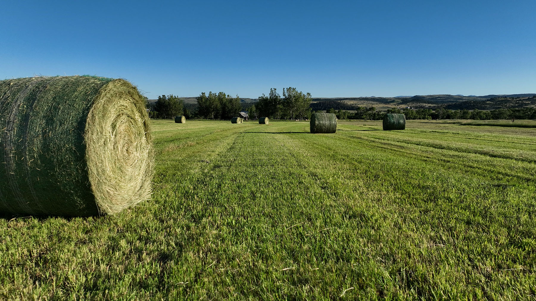 Little Hangmans Ranch property picture 60 of 69