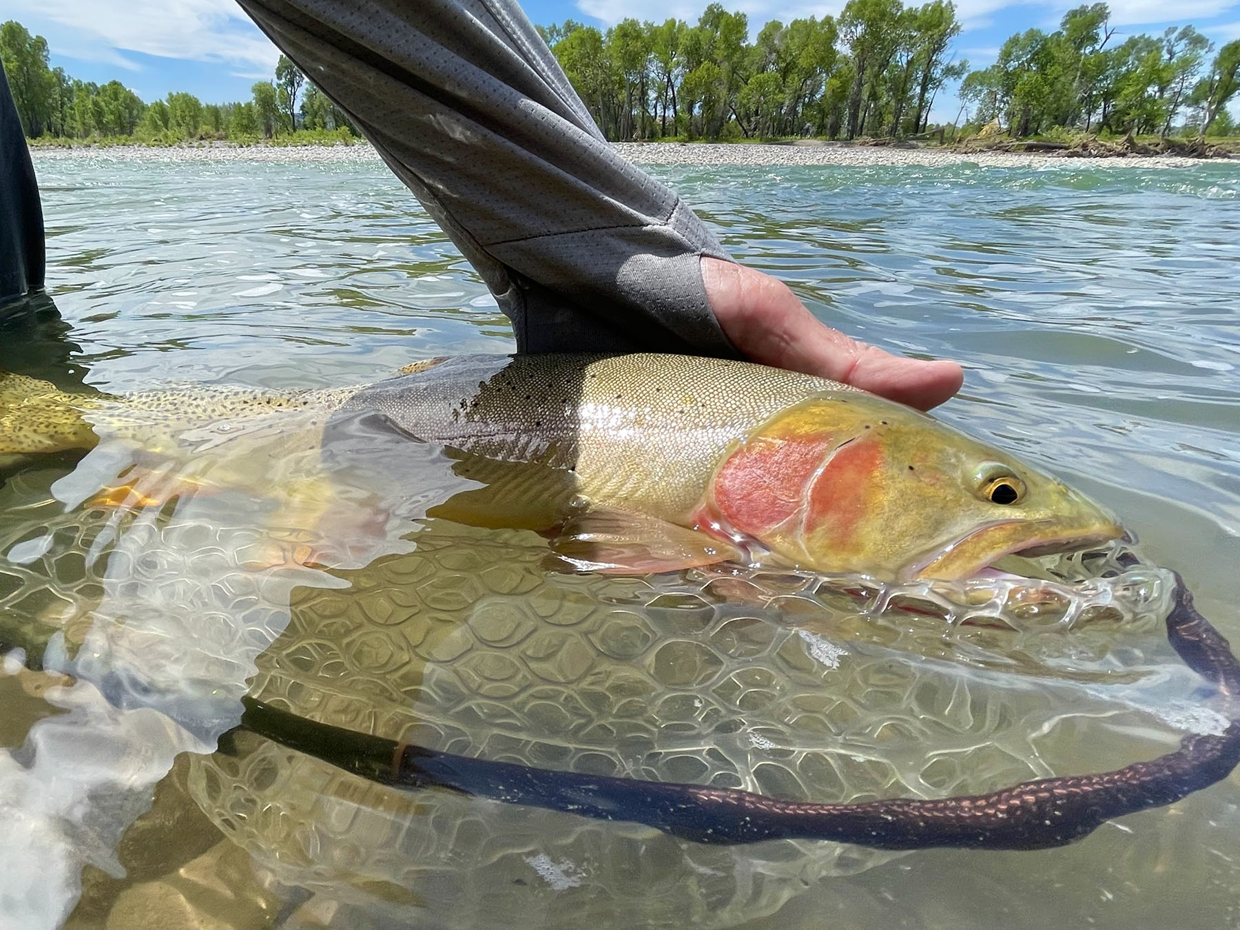 Little Hangmans Ranch property picture 5 of 69