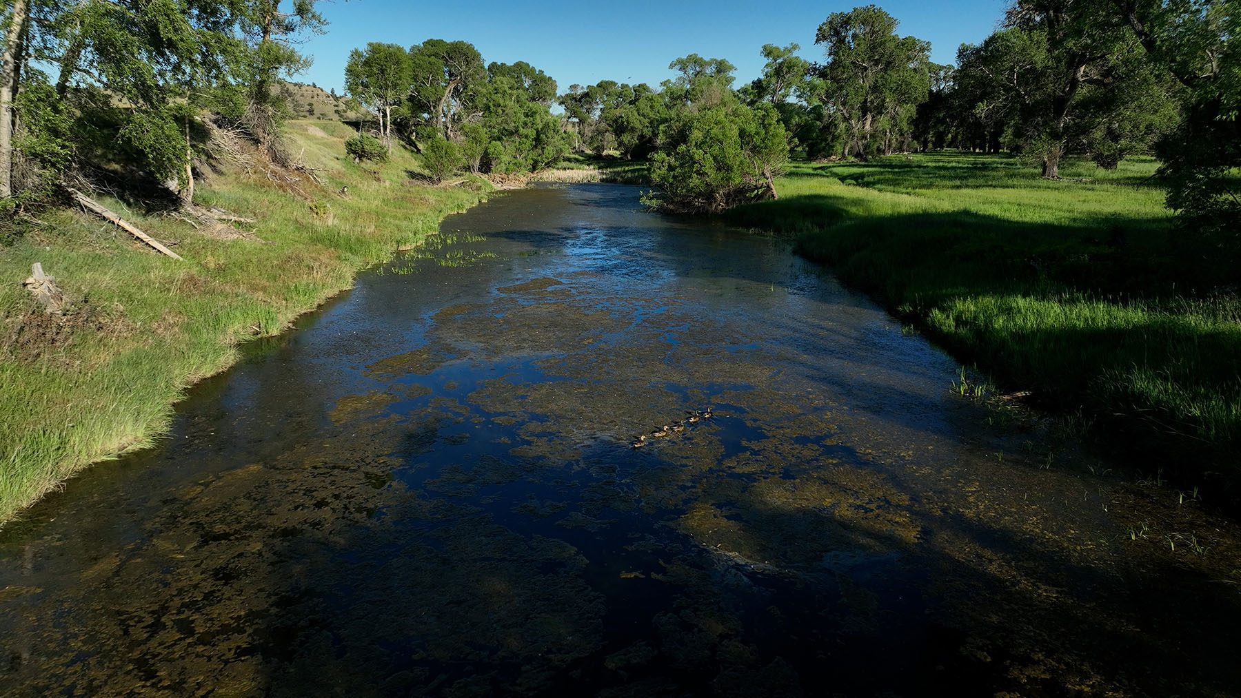 Little Hangmans Ranch property picture 47 of 69