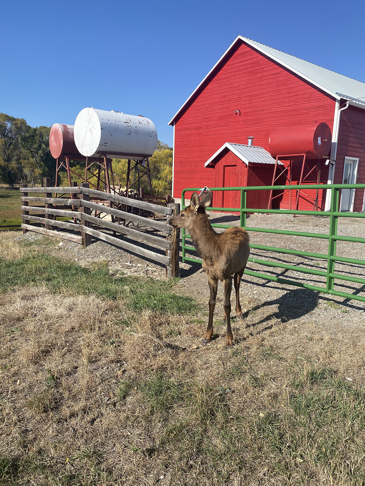 Little Hangmans Ranch property picture 51 of 69