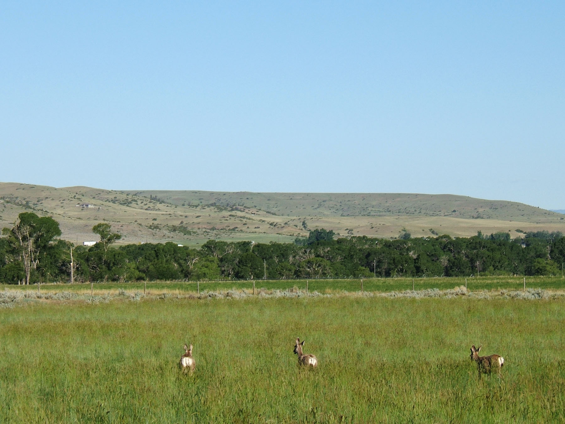 Little Hangmans Ranch property picture 55 of 69