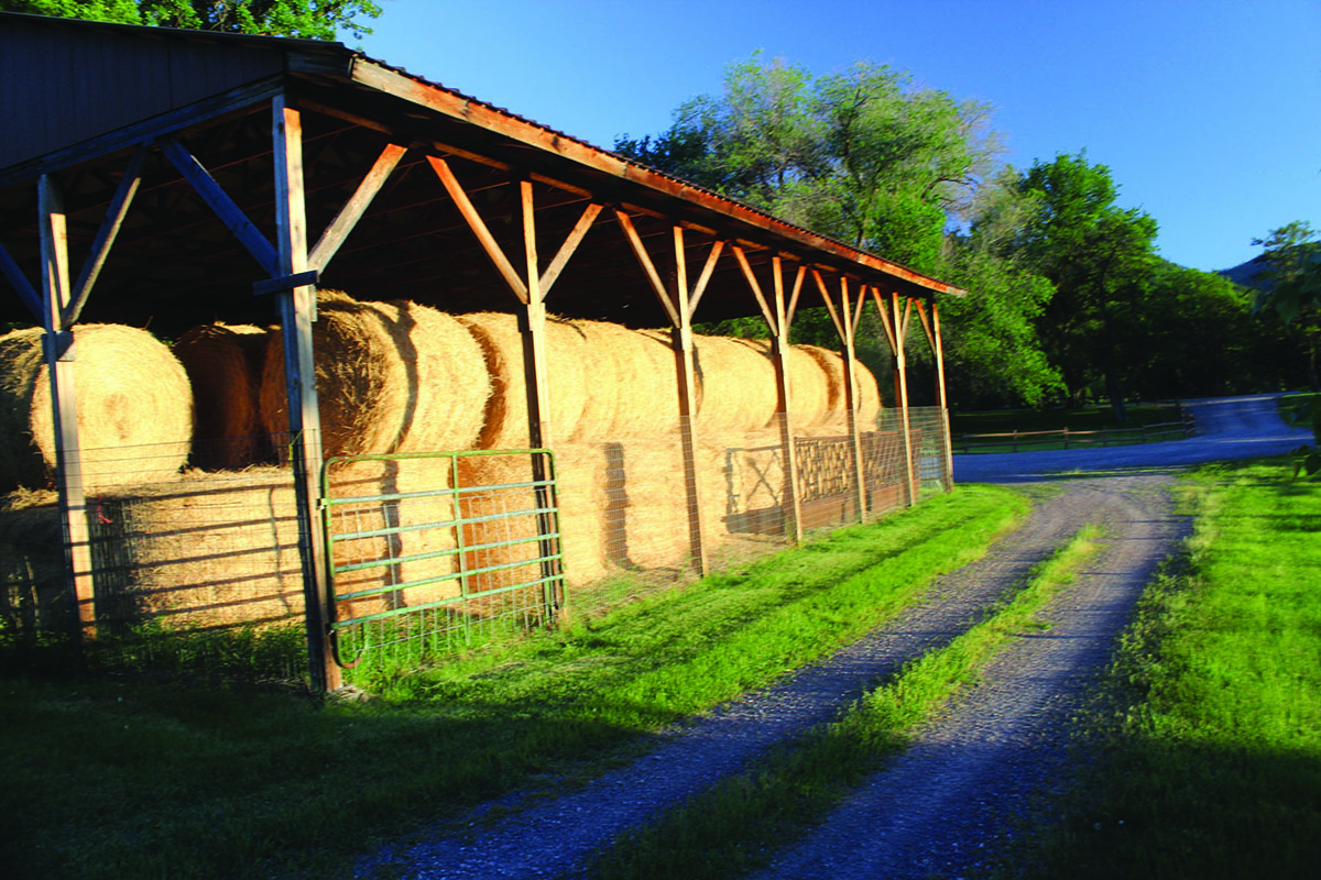 St. Clair Ranch at Fish Creek property picture 6 of 11