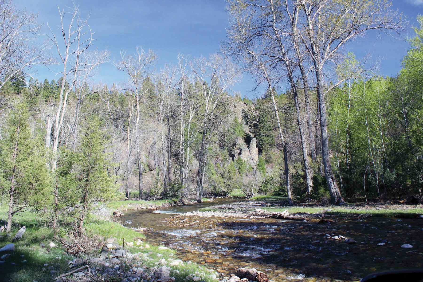 Stinger Ranch property picture 1 of 1