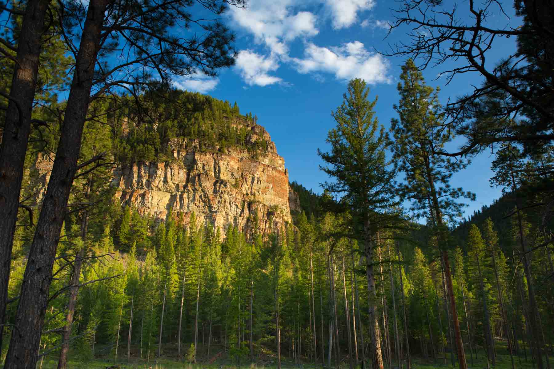 Knob & Kettle Ranch property picture 19 of 40