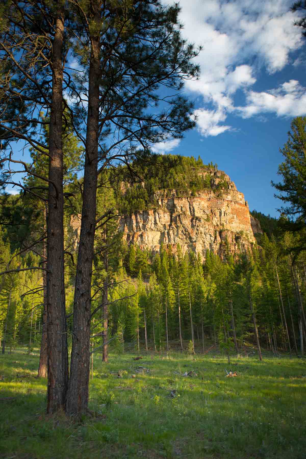 Knob & Kettle Ranch property picture 21 of 40