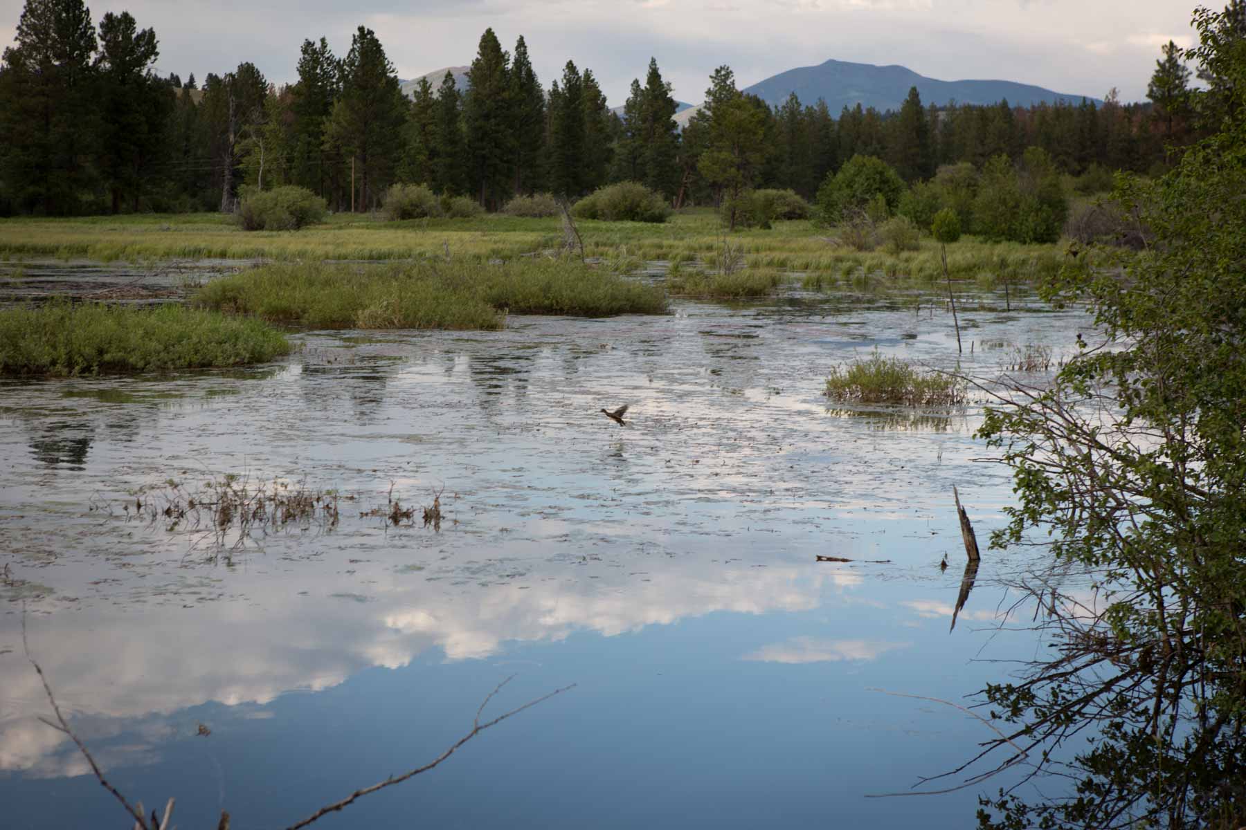 Knob & Kettle Ranch property picture 12 of 40