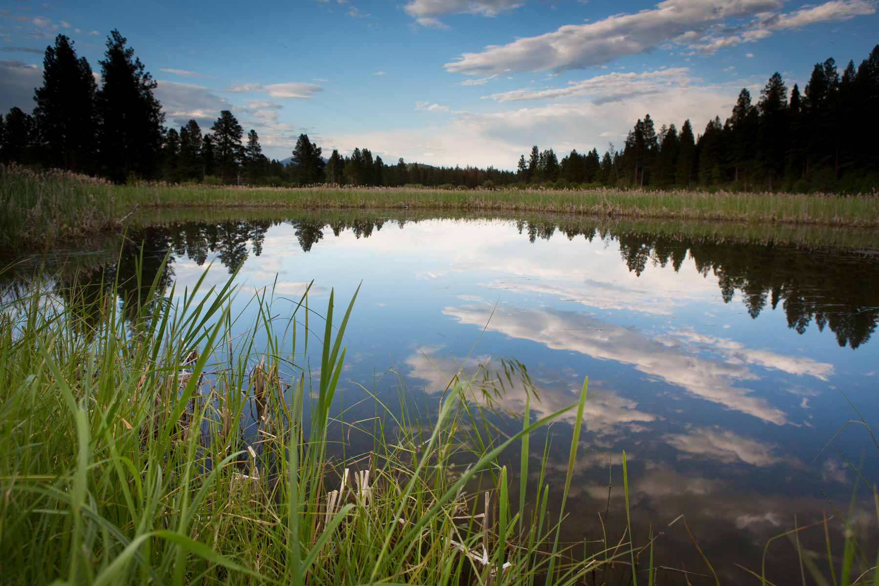 Knob & Kettle Ranch property picture 2 of 40