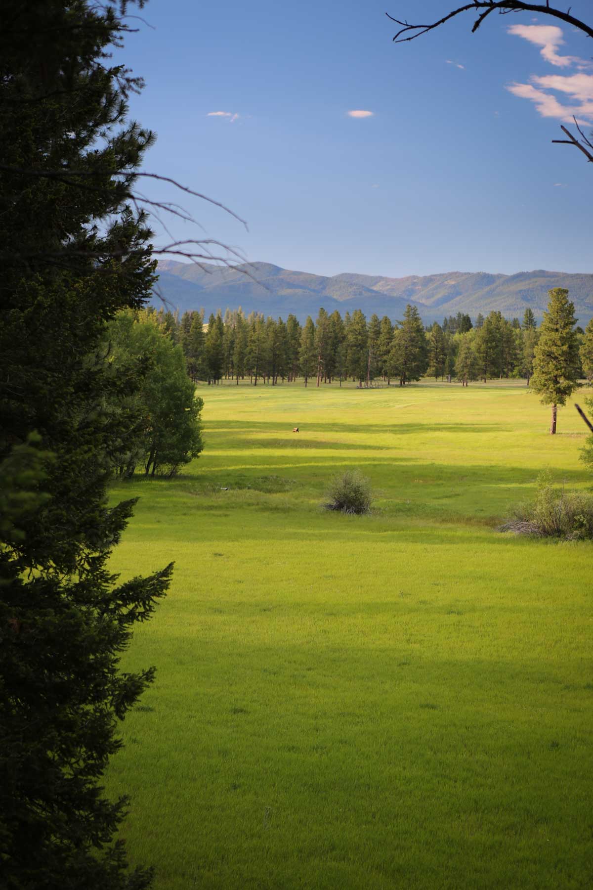 Knob & Kettle Ranch property picture 5 of 40