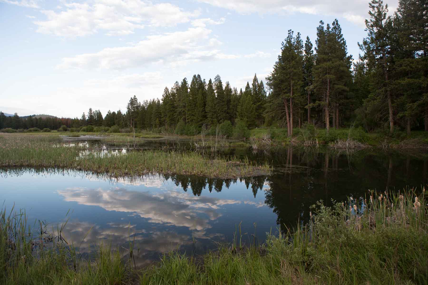 Knob & Kettle Ranch property picture 11 of 40