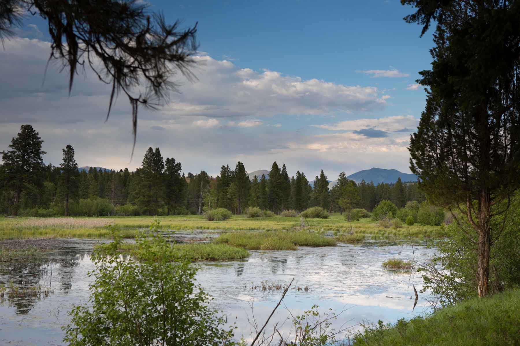 Knob & Kettle Ranch property picture 8 of 40