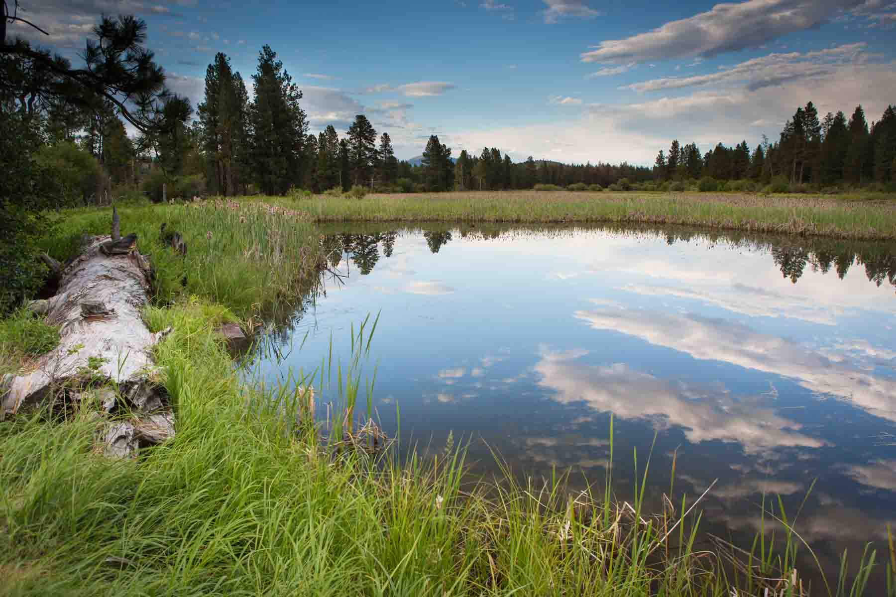 Knob & Kettle Ranch property picture 9 of 40