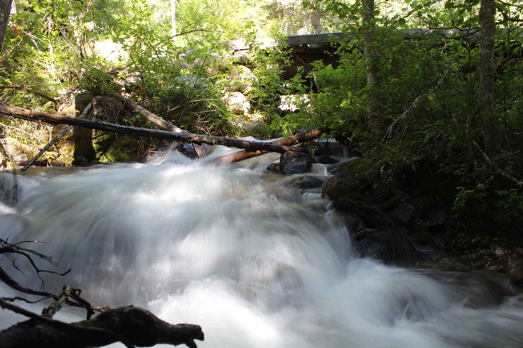 St. Mary's Ranch property picture 3 of 4