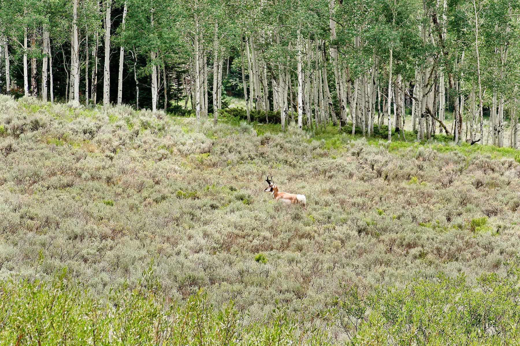 Double X Ranch property picture 4 of 8