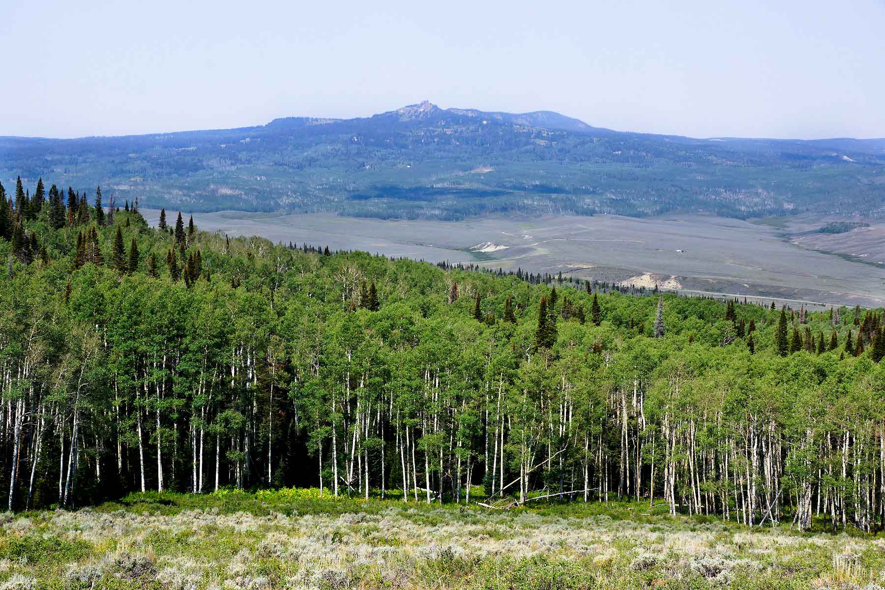 Double X Ranch property picture 3 of 8