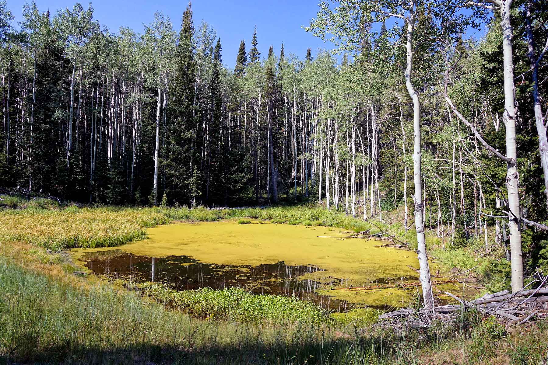 Double X Ranch property picture 5 of 8