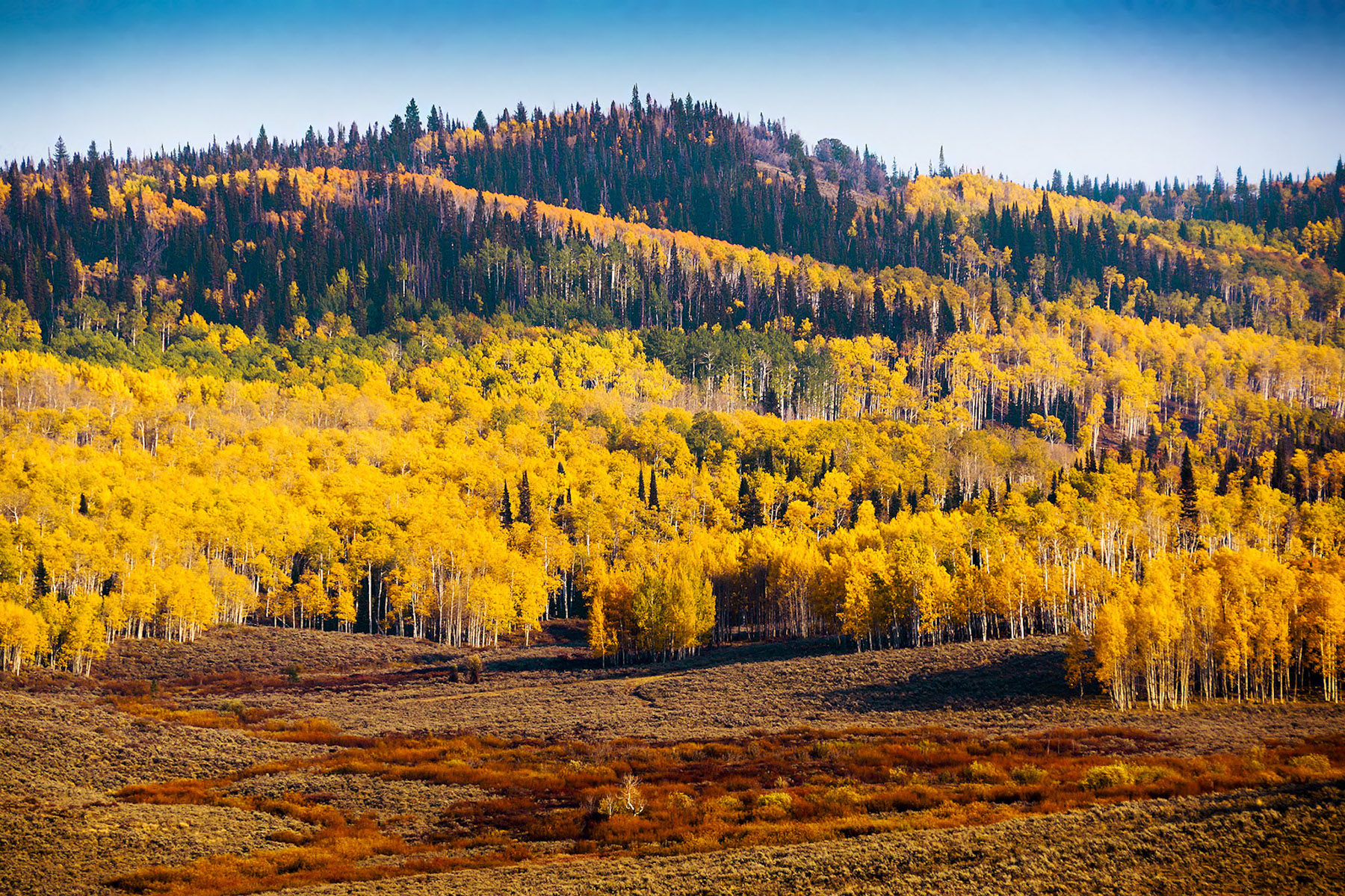 Double X Ranch property picture 2 of 8