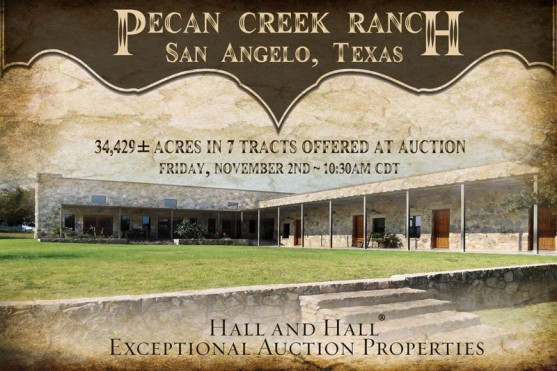 Pecan Creek Ranch property picture 4 of 4