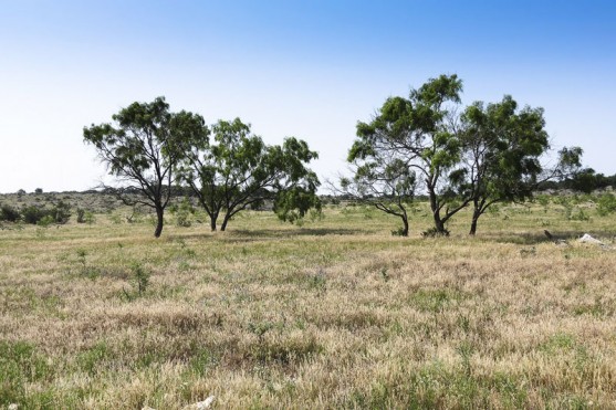 Pecan Creek Ranch property picture 2 of 4