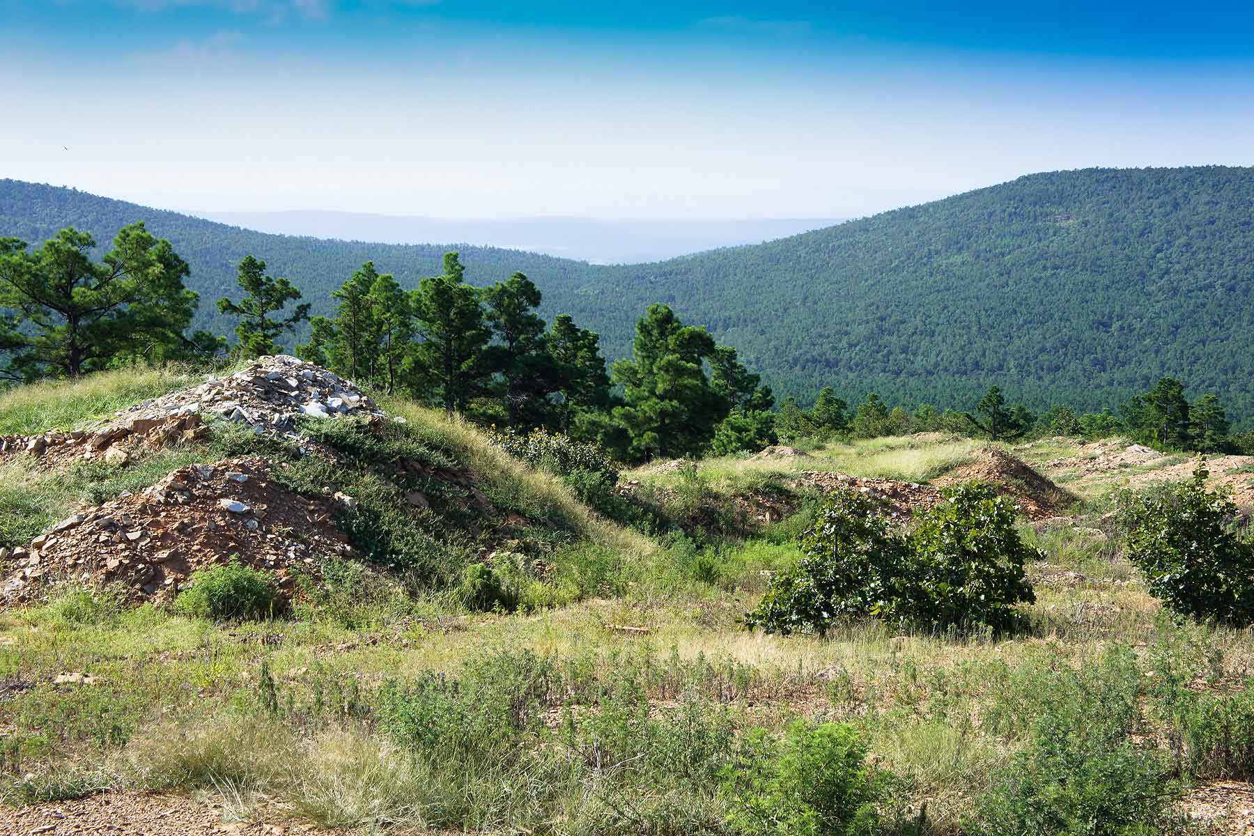 Eastern Oklahoma Timber property picture 12 of 23